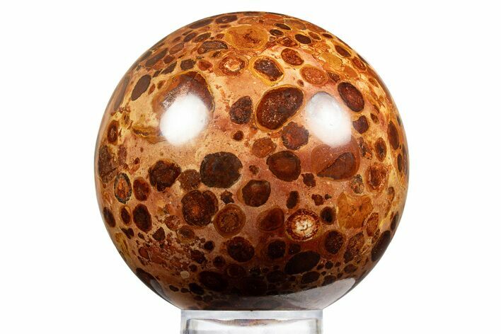 Polished Bauxite (Aluminum Ore) Sphere - Russia #316274